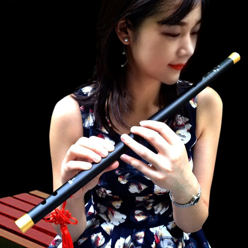 Professional Flute D/E/G Key T - Musical Instrument Fife recension och pris