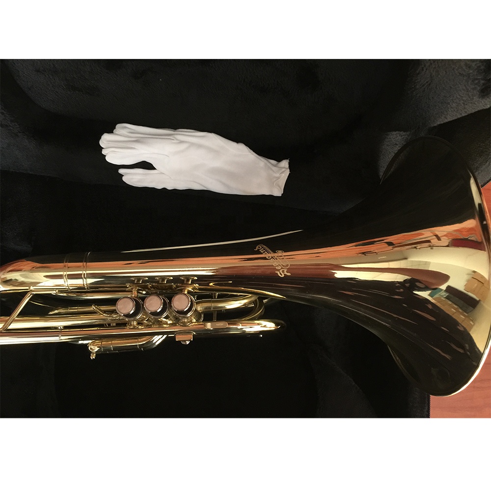 Bb Gold‑Lacquered Marching Fre - Musical Instrument Horn recension och pris