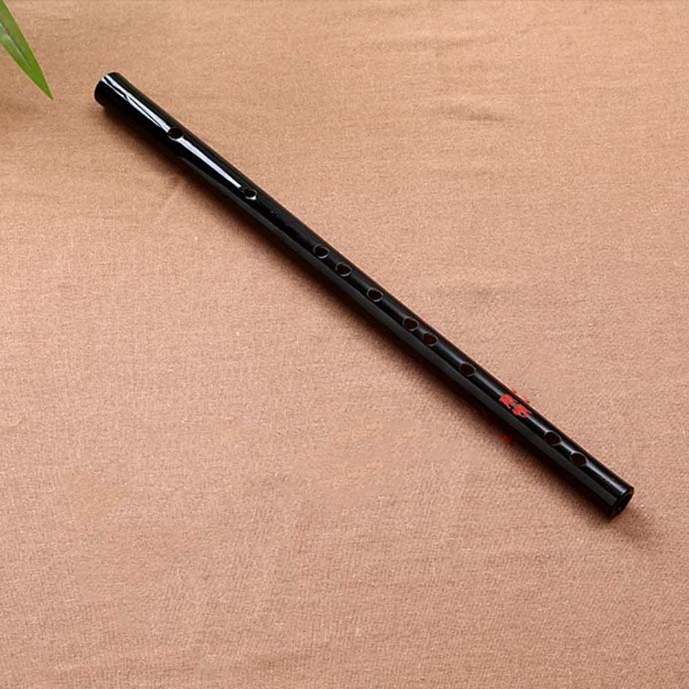 Acrylic Flute Transparent E/F/ - Musical Instrument Fife recension och pris