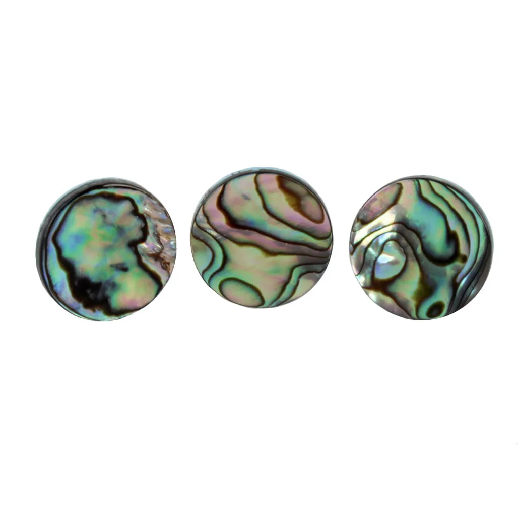 3pcs/set Trumpet Abalone Shell - Musical Instrument Horn recension och pris