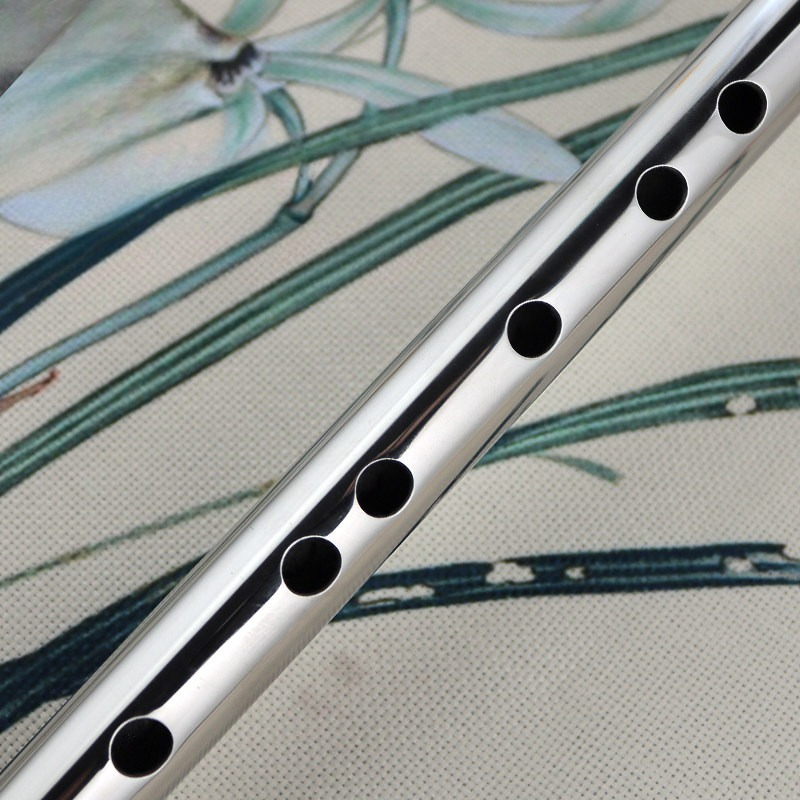 Stainless Steel Flute Professi - Musical Instrument Fife recension och pris